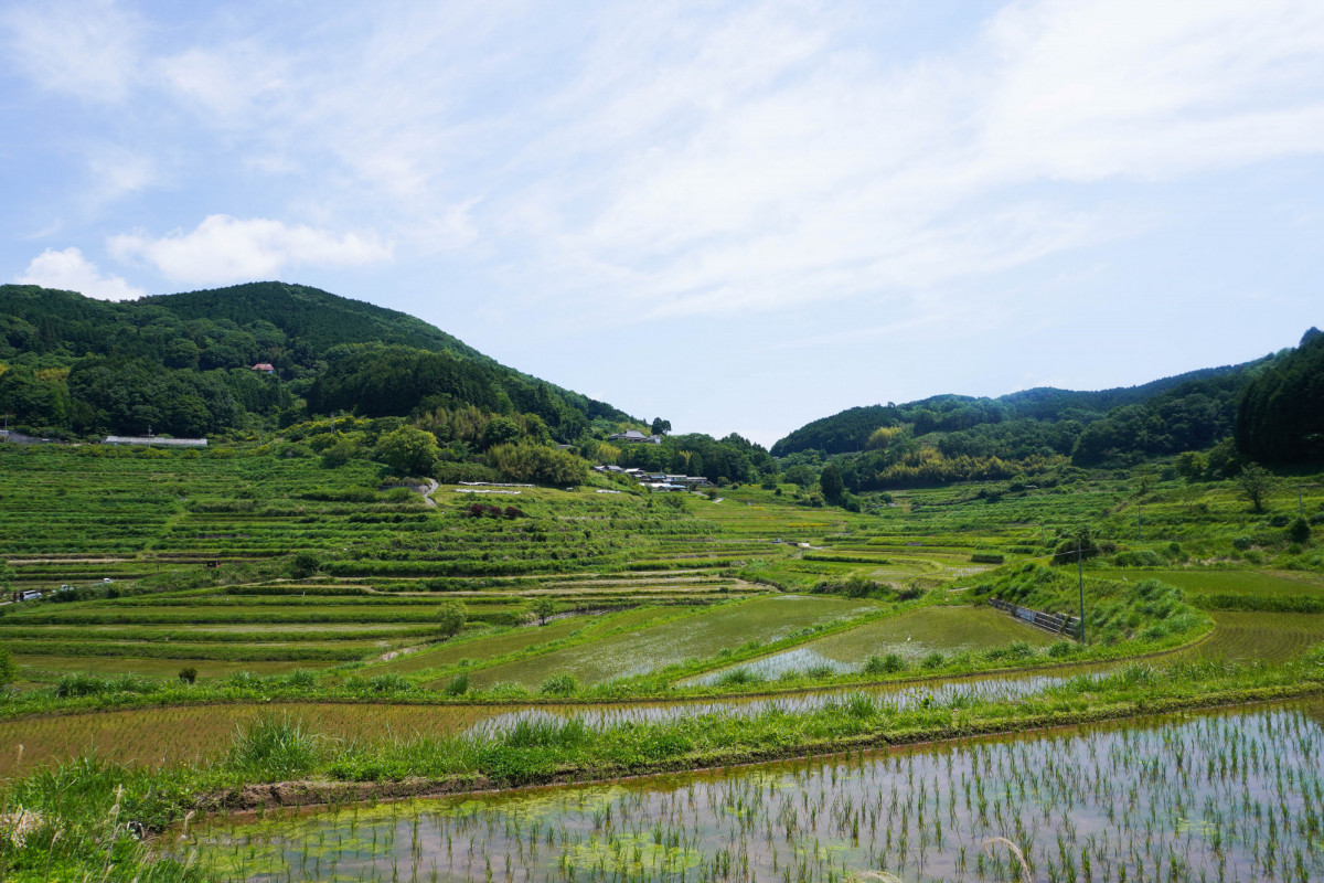 田舎の風景に癒される、岡山県の美しい棚田めぐり