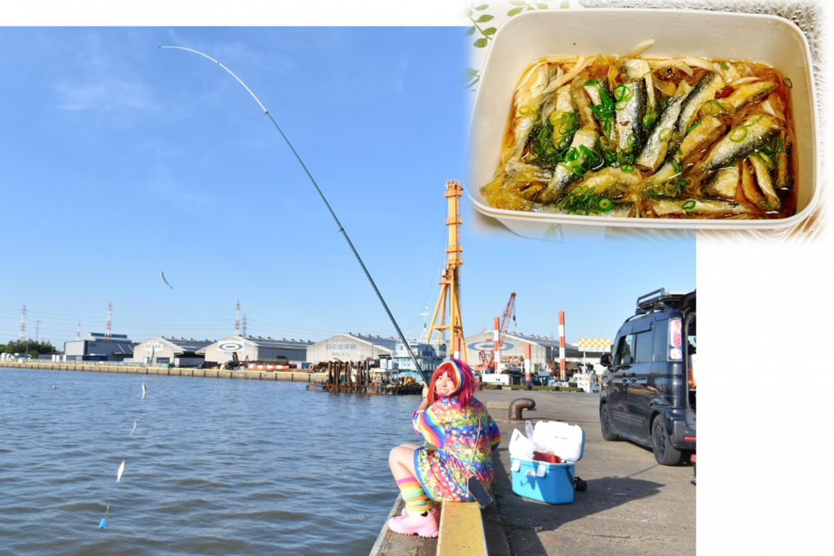 岡山名物ママカリを釣って、料理して、美味しく食べるまで