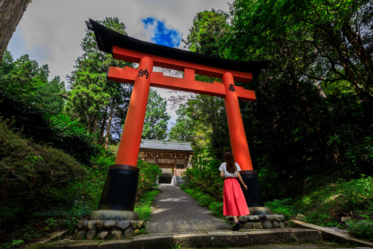 リアルまねき猫に会える真庭市の「木山神社」。かわいい御朱印もご紹介