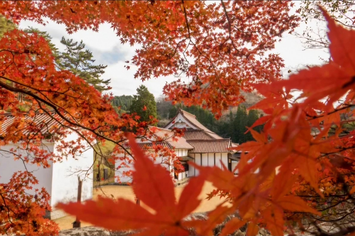 紅葉時期を迎える旧閑谷学校と池田家／10/20は備前焼と音楽のコラボイベントも！