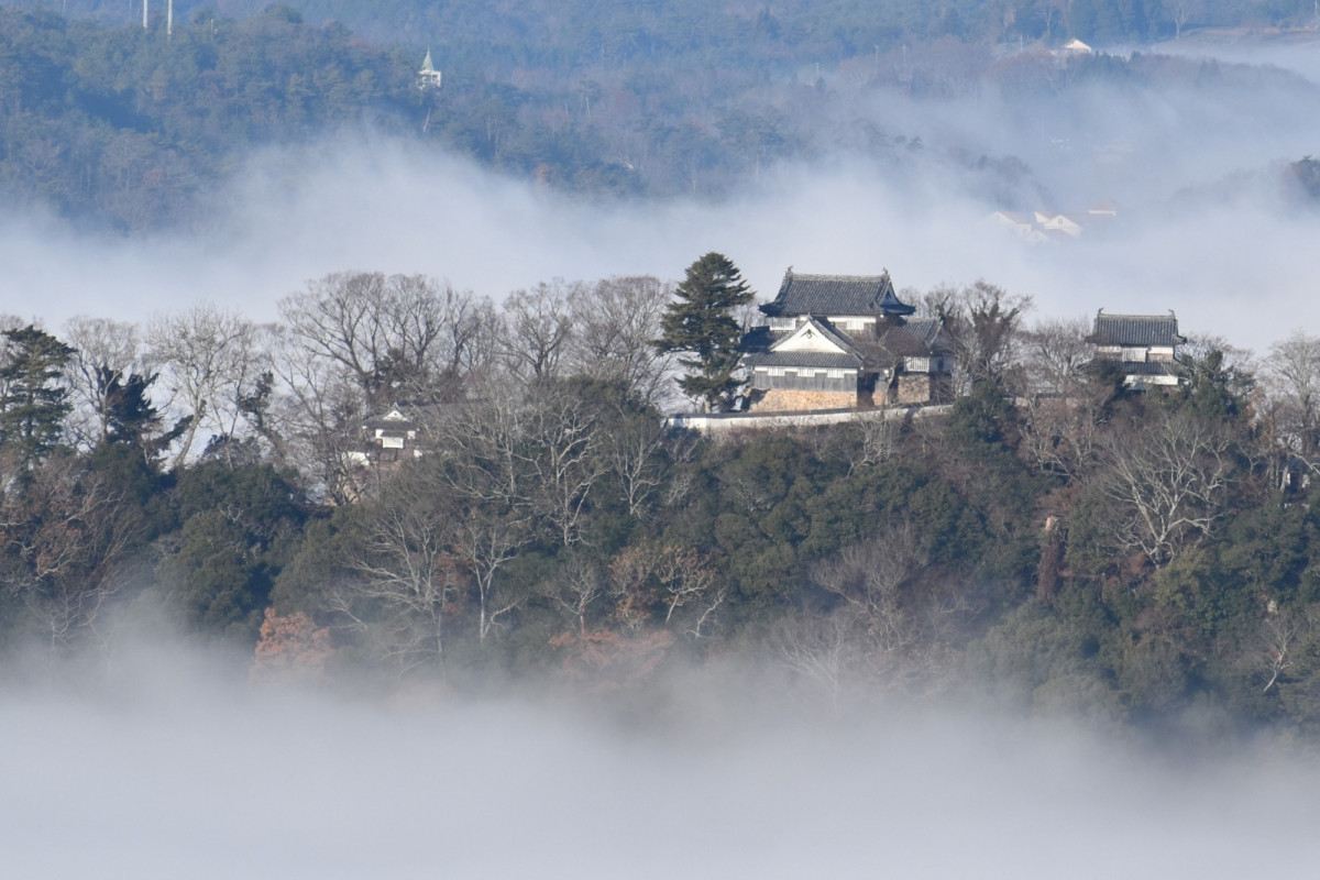 天空の山城「備中松山城」への行き方は？車、タクシー、バスetc.各種アクセスをご紹介