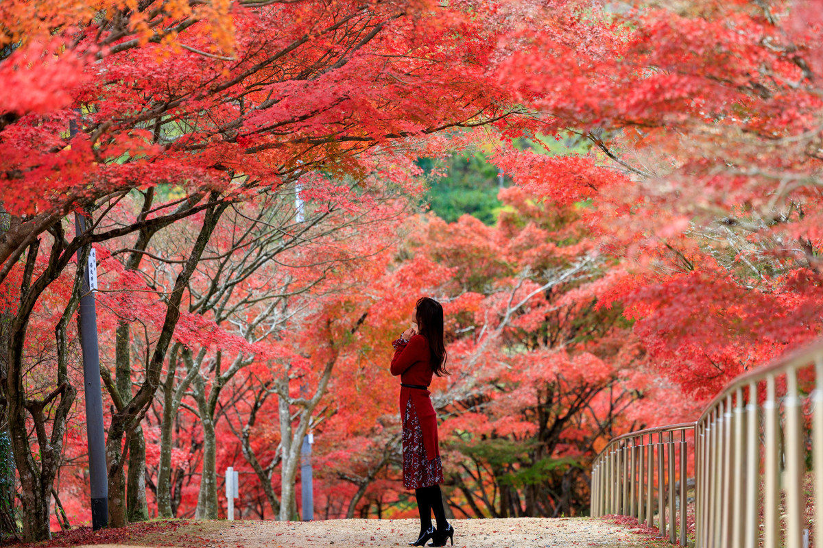 岡山の穴場紅葉スポット！絶景写真が撮れる「龍泉寺」（岡山市）