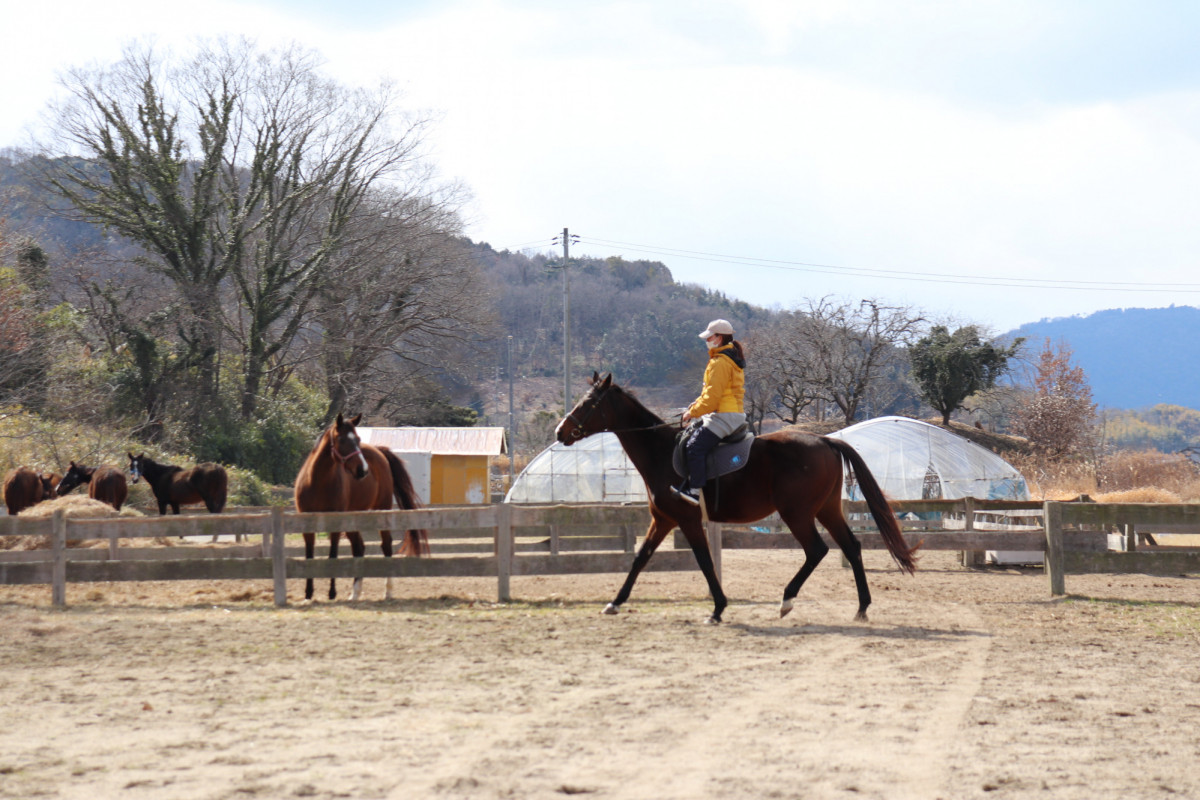 吉備路風景を眺めながら引馬体験。造山古墳にも“コーフン”！（岡山市）