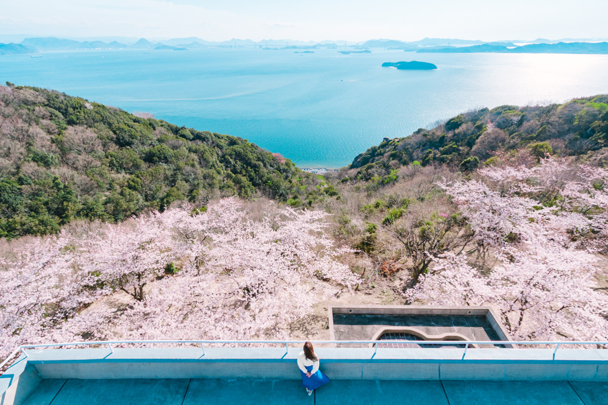 桜と菜の花と瀬戸内海が織りなす「王子が岳」の絶景！おすすめスポット＆アクセス情報も（倉敷市・玉野市）