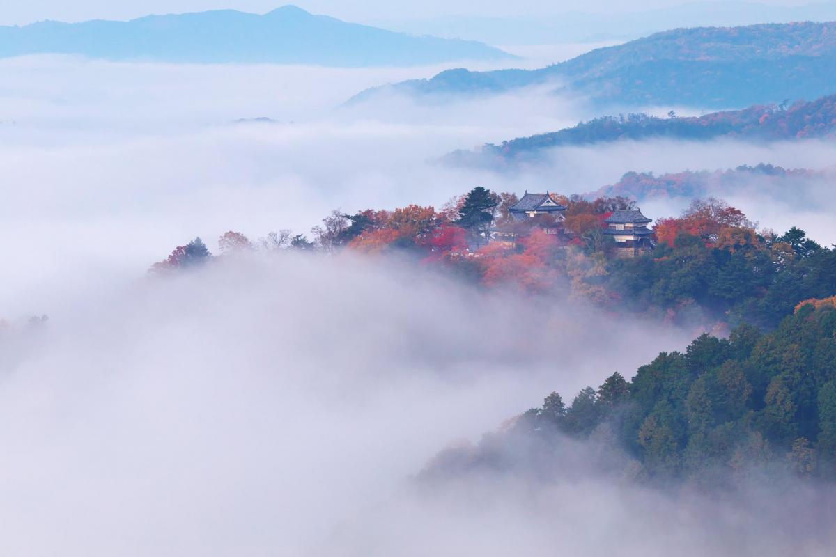 天空の山城・備中松山城をガイドと歩く！知る！学ぶ！