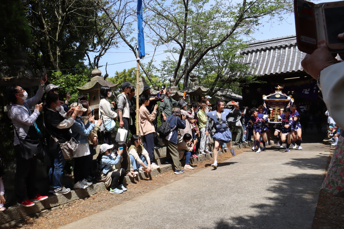  真鍋島の走り神輿