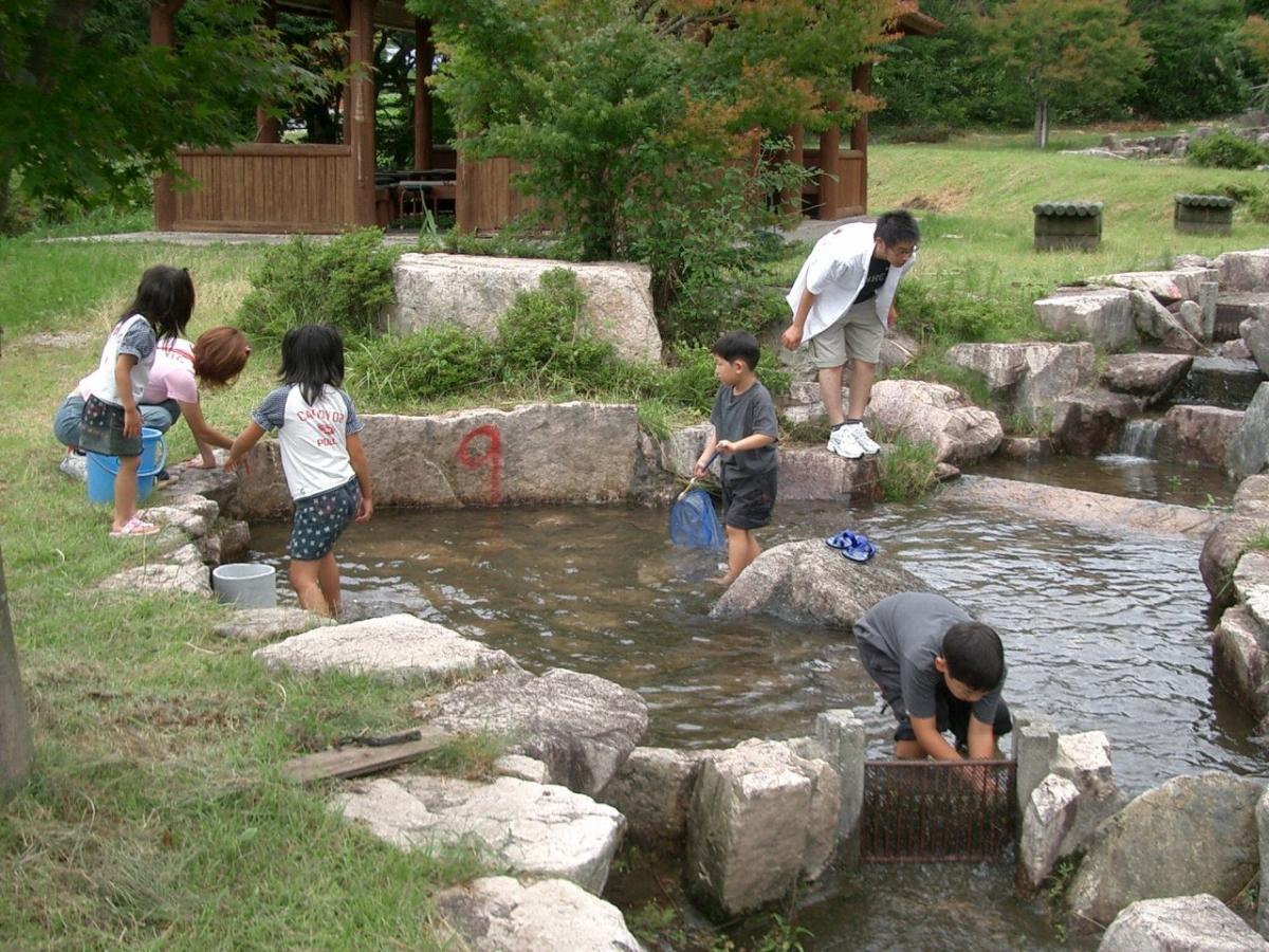 夏休みに家族で行きたい 岡山で魚のつかみどりができるスポット6選 おか旅 岡山観光web 公式 岡山県の観光 旅行情報ならココ