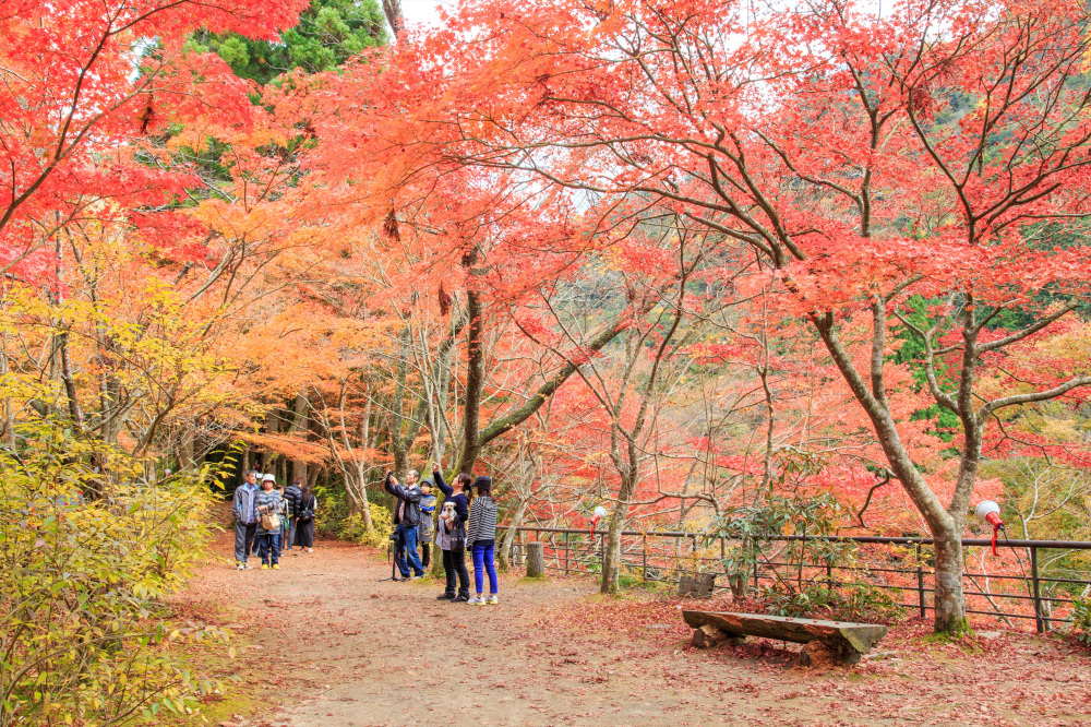 岡山で絶対見ておくべき紅葉スポット10選