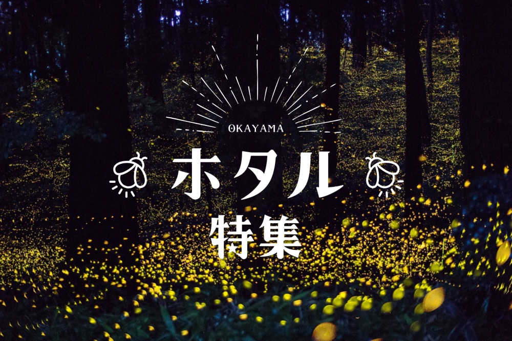 ホタル特集