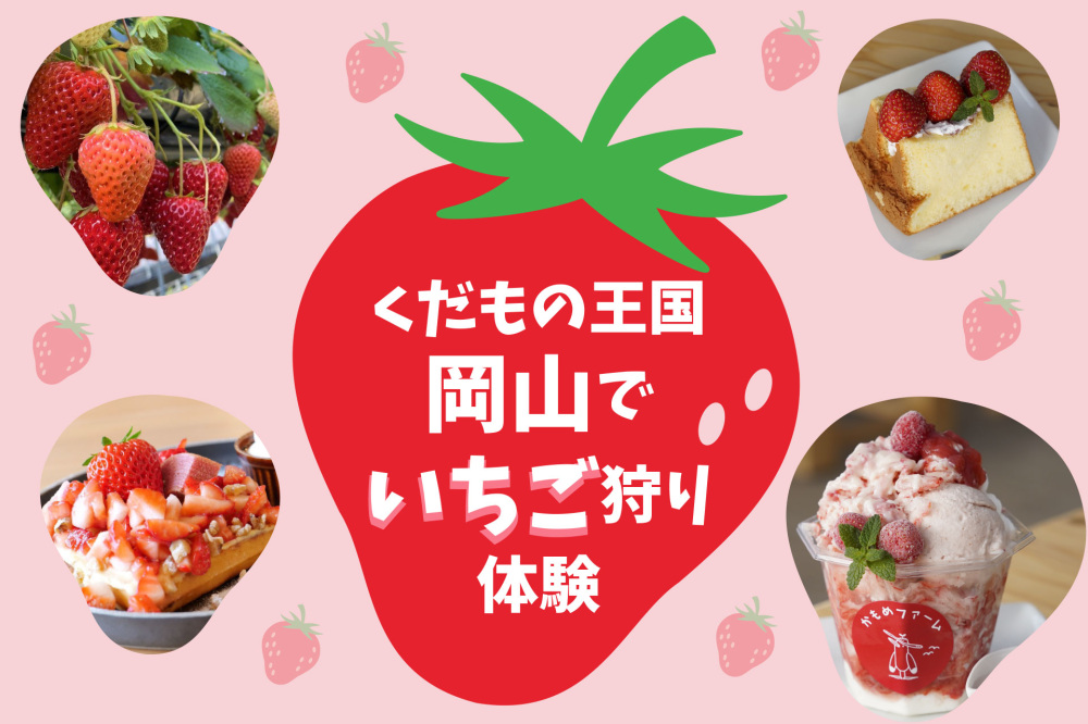 くだもの王国・岡山でいちご狩り体験