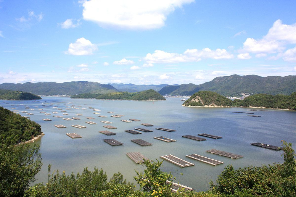 カキ筏が浮かぶ穏やかな海と日本のエーゲ海