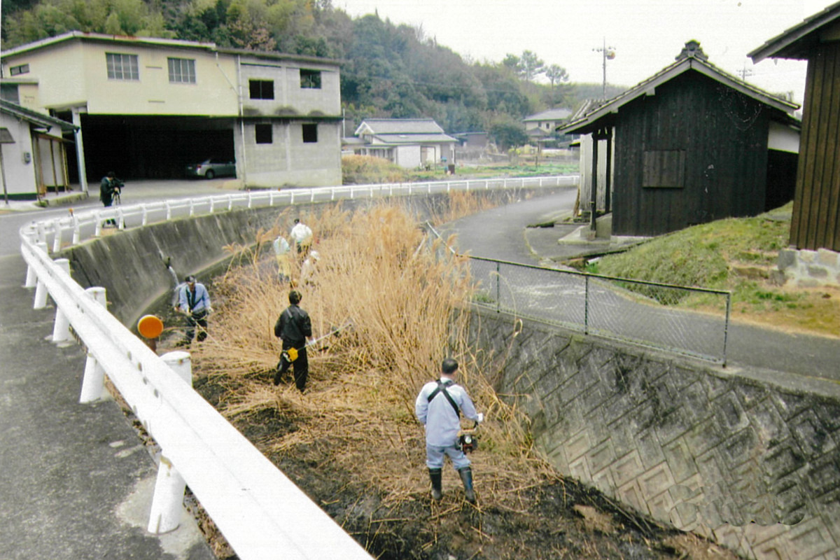 ホタルの幼虫が上陸できるよう草刈りを行う(3月)