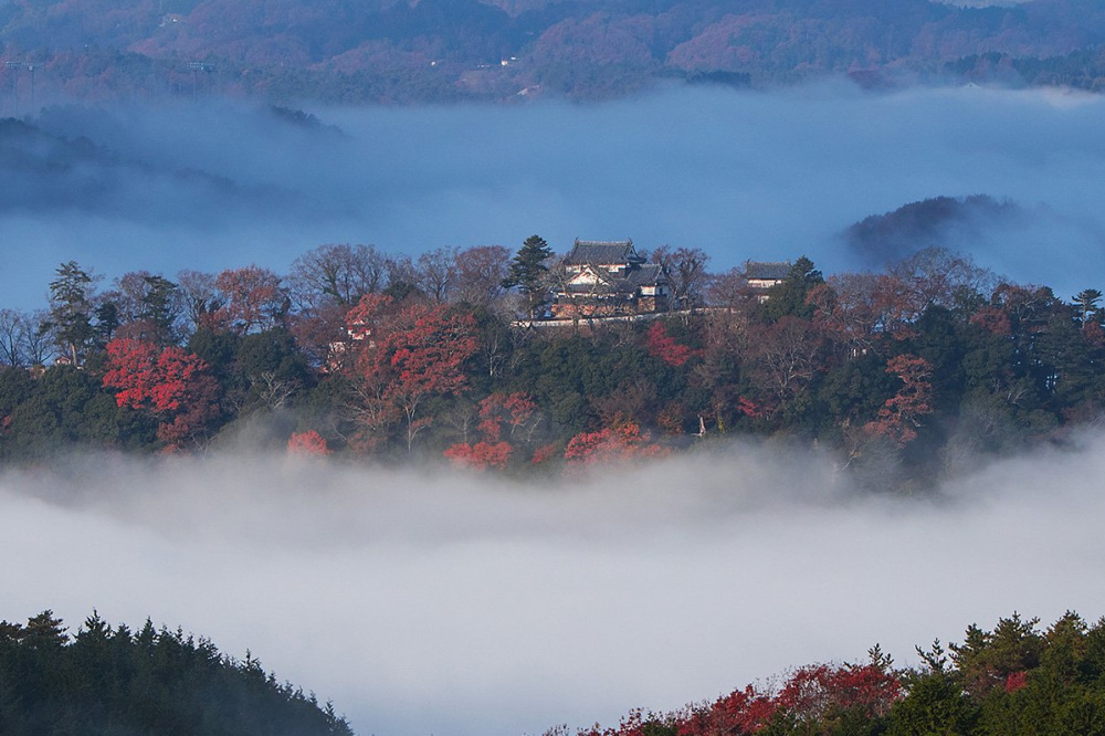 雲海シーズン到来! 一度は見てみたい岡山の絶景雲海スポット5選