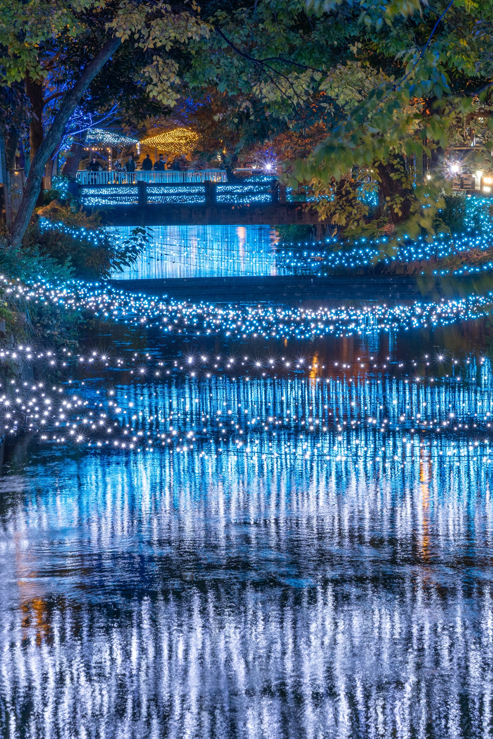 【2025年度版】今年はどこ行く? 岡山の冬を彩るイルミネーションスポット11選