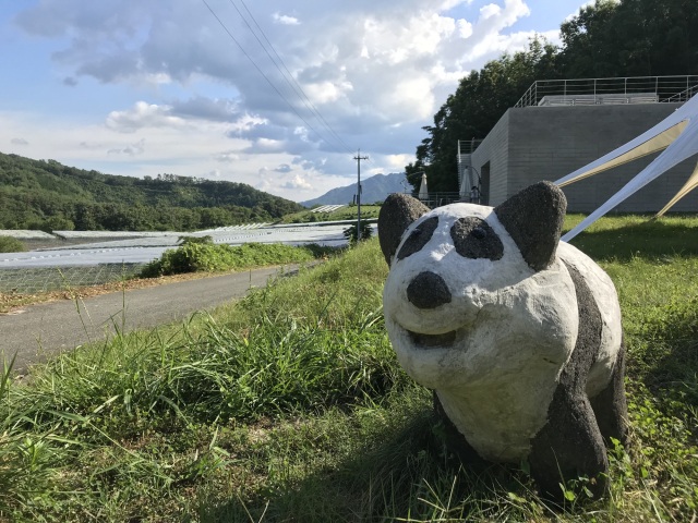 飲む人も飲まない人も楽しめる!自然の中の県北おすすめワイナリー