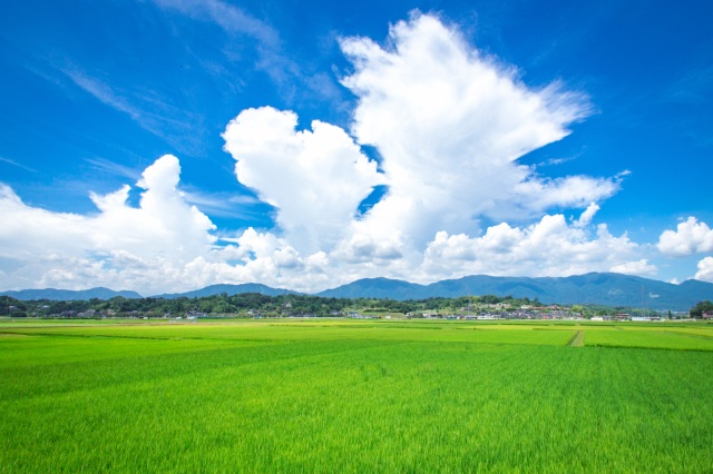 「ほどヨイ!田舎」勝央町でファームステイツアー。収穫に体験にパワースポットめぐりまで!