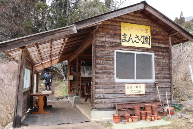四季を感じる花園、「シャクナゲの里 まんさく園」で春を感じてきました!!