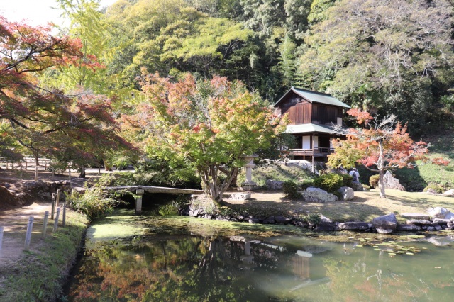 テイクアウトで楽しむ!大名庭園「近水園」の紅葉ピクニック