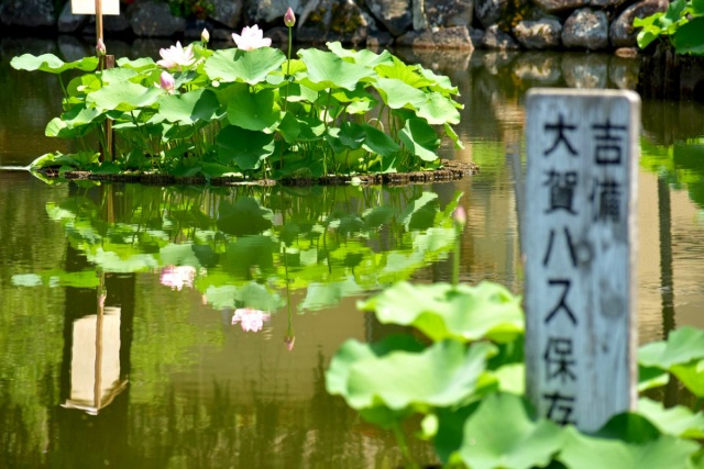 てくてく水路をめぐる!庭瀬・撫川界隈ほっこり発見旅