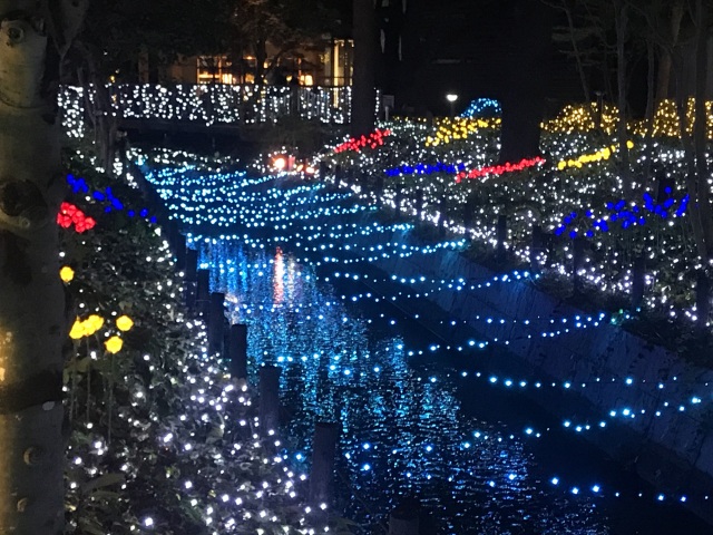 倉敷の夜を彩る! イルミネーション「きらめきのみち」に魅せられて