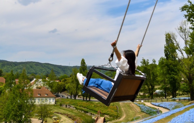 岡山県にもある!絶景ネモフィラ in ドイツの森