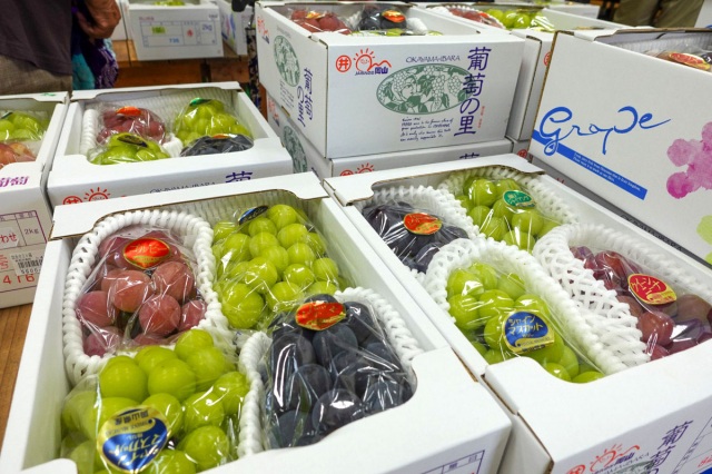 旬のぶどうが大集合!井原「葡萄浪漫館」で、ぶどうとジビエのソロキャンプ!