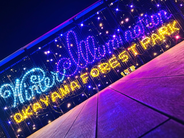 ウィンターイルミネーション開催中のフォレストパークドイツの森へ行ってみた!