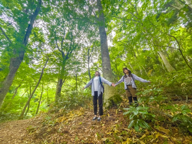 毛無山の麓で"ととのう"体験。新庄村森林セラピー「ゆりかごの小径」を歩いてみた
