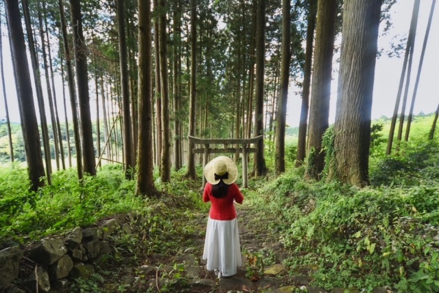 新見市の秘境神社「荒戸神社」へ。紅葉シーズンにおすすめ「てったせせらぎ公園」にも立ち寄り