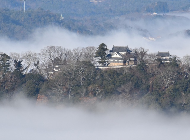 天空の山城「備中松山城」への行き方は?車、タクシー、バスetc.各種アクセスをご紹介