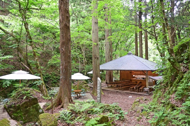 2025年から営業期間延長!癒しの空間「山乗渓谷のそうめん流し」(真庭市)