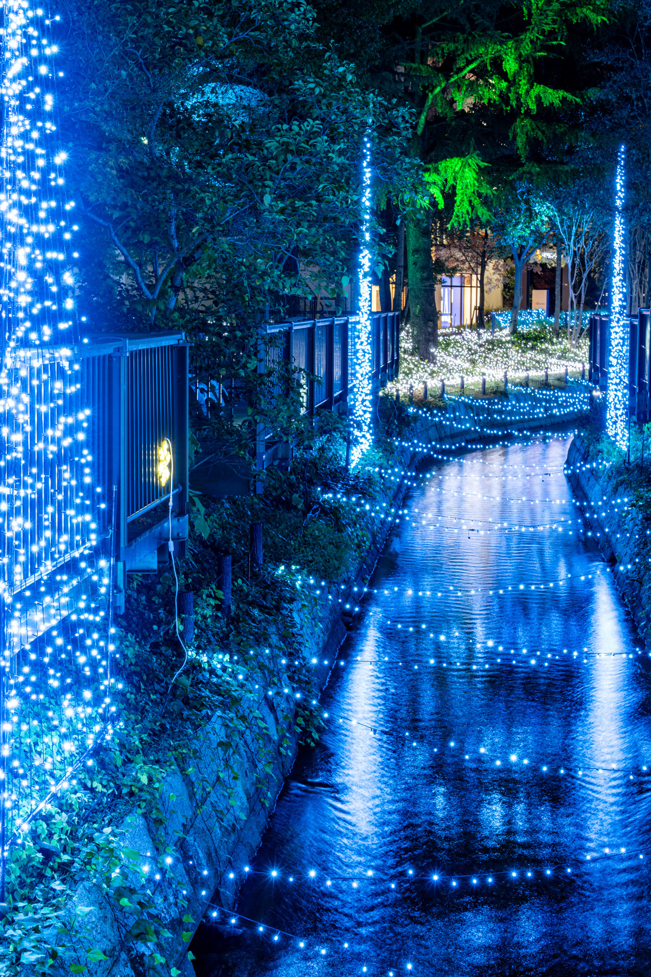 【2025~2026】くらしき きらめきのみち-JR倉敷駅からすぐ!水辺と街に彩りを添える18万球のイルミネーション