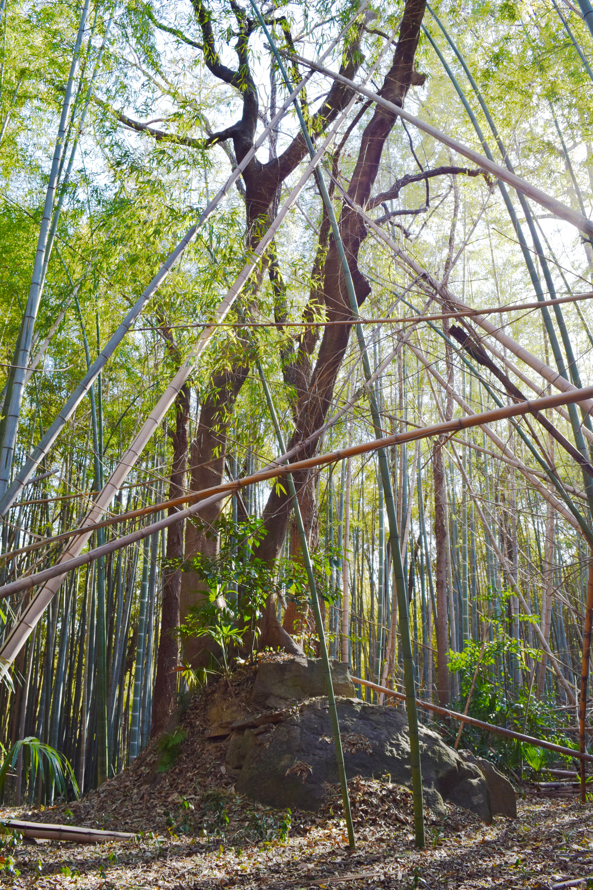 【岡山の古墳】少し不思議な「古墳のある風景」5選