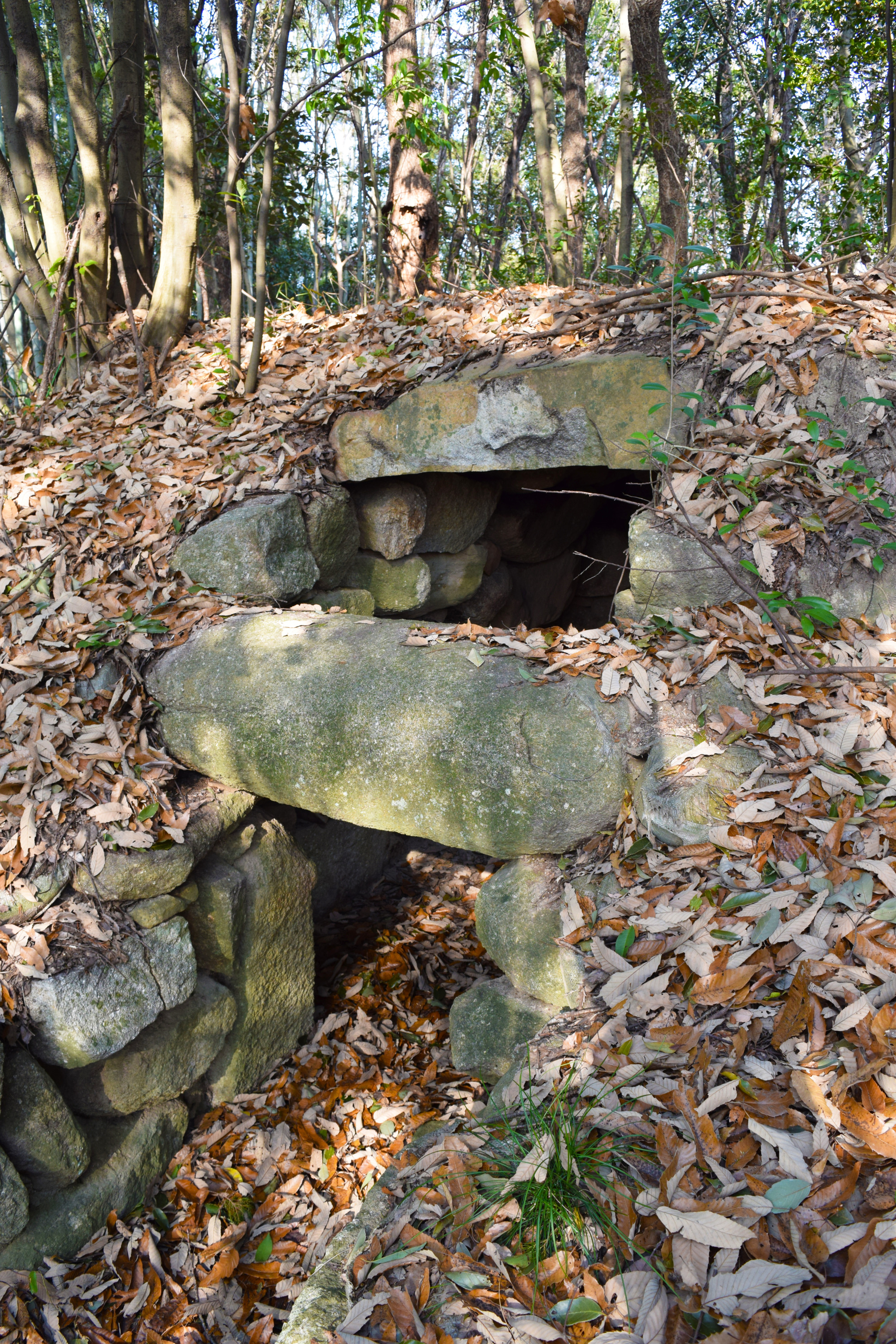 【岡山の古墳】備中国分寺から近い!緑山古墳群で巨大な横穴式石室に入ってみよう!(総社市)
