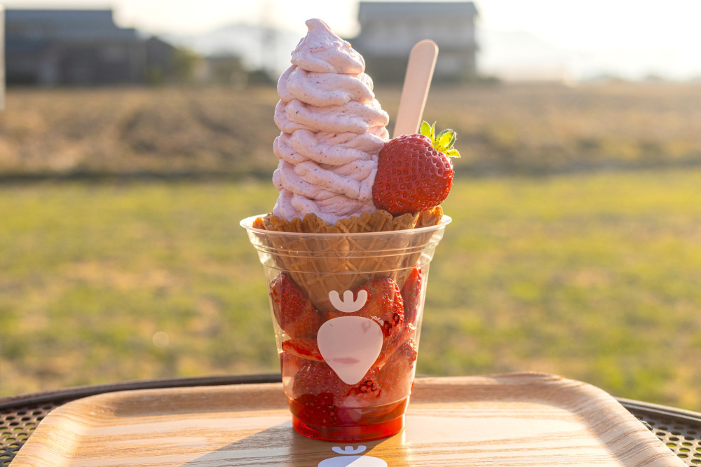 奥山いちご農園 〜 いちご農家直営!絶品の完熟いちごを使ったスイーツとドリンク〜(岡山市)