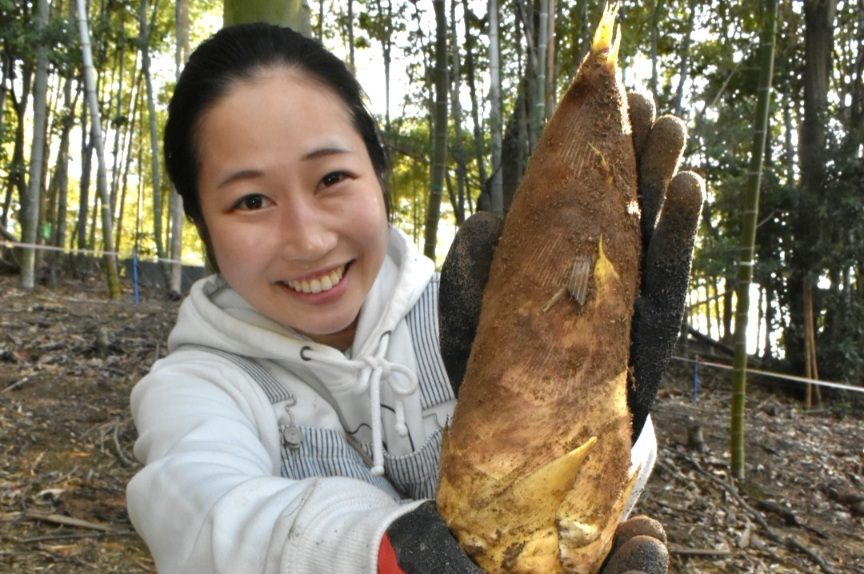 真備町のタケノコは今が旬!タケノコ掘りと直売所情報も(倉敷市)