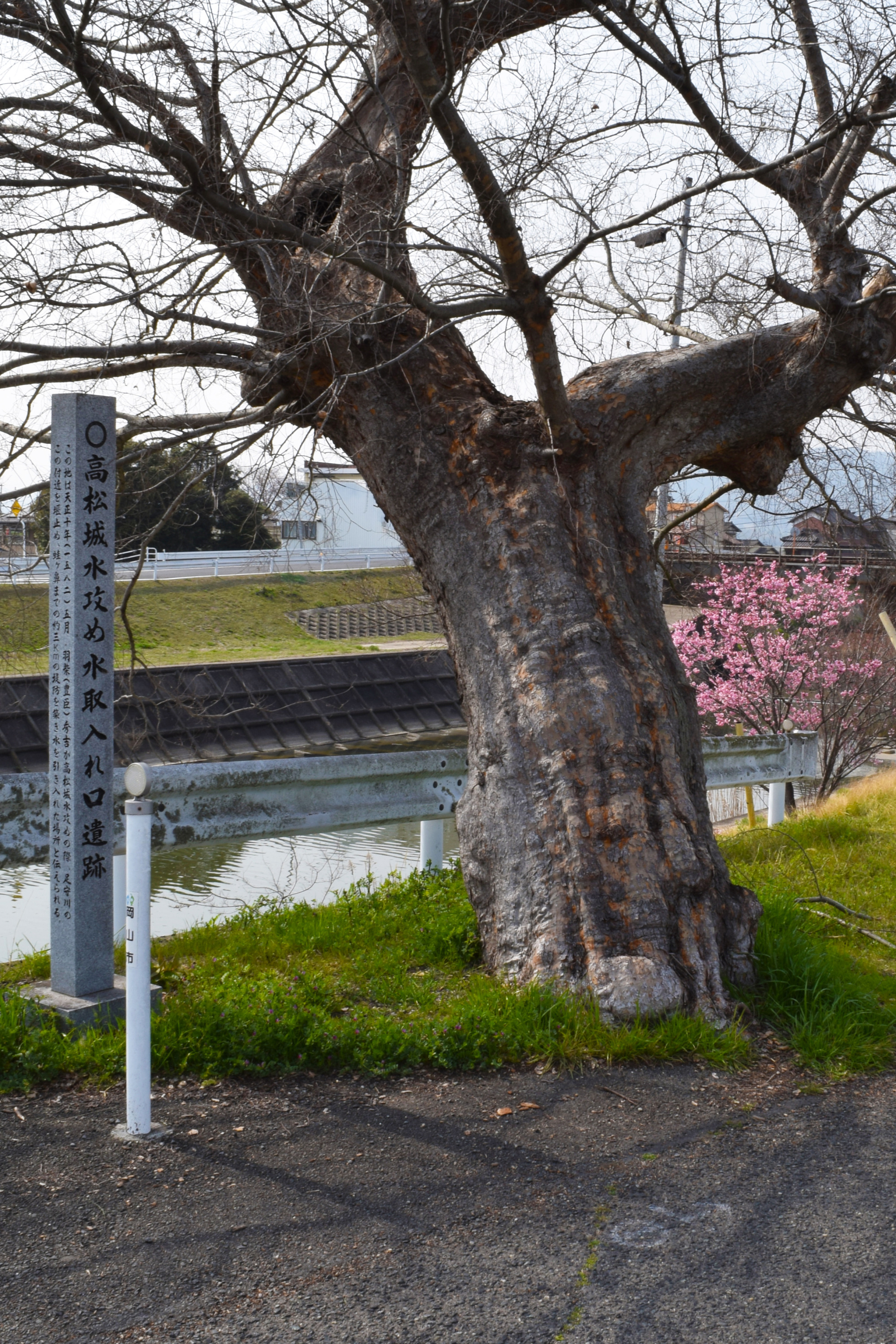 【空から見る岡山の史跡】備中高松城の水攻めを空から徹底解説!(岡山市)