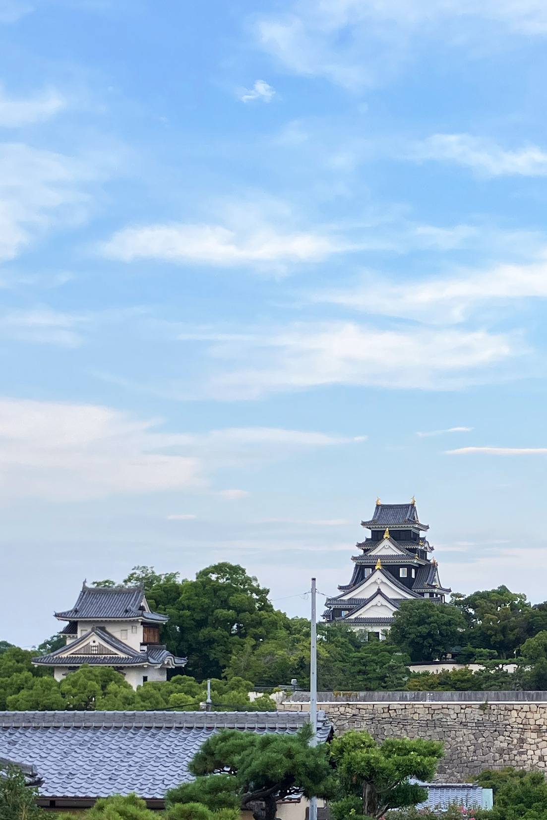 【空から見る岡山の史跡】岡山を代表する名城「岡山城」を空から徹底解説!