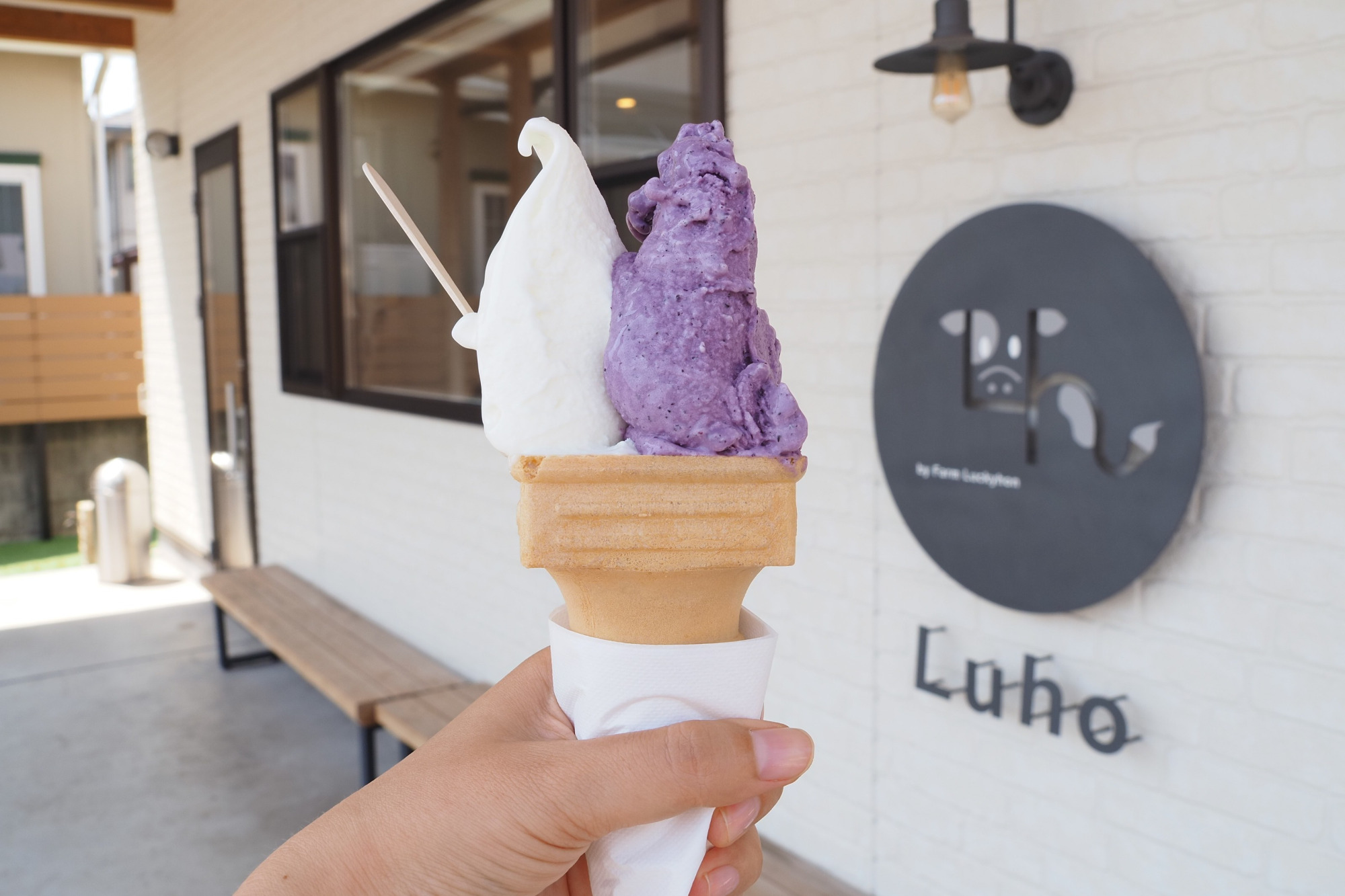 岡山県南西部のひんやりスイーツ6選|実際に食べて選んだおすすめ店(笠岡市・井原市・浅口市)
