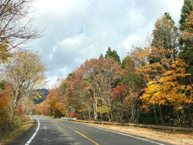 蒜山大山スカイラインの紅葉を楽しむ日帰りドライブコース