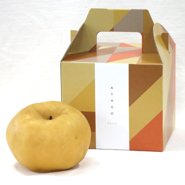 岡山県産あたご梨 大玉1玉(1.1kg)【11月下旬~12月中旬発送】