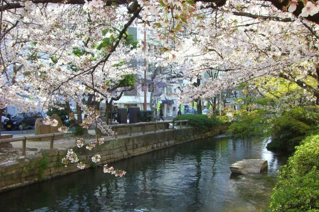 西川緑道公園・枝川緑道公園