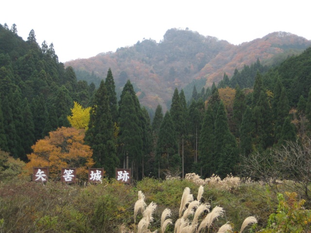 矢筈山(矢筈城跡)