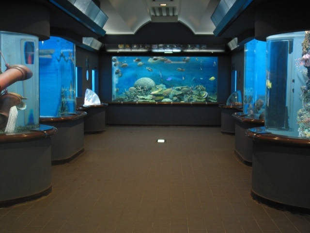 渋川マリン水族館(玉野市立海洋博物館)