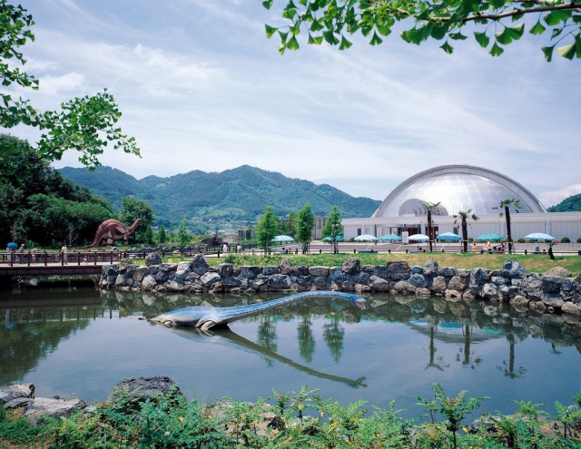 笠岡市立カブトガニ博物館