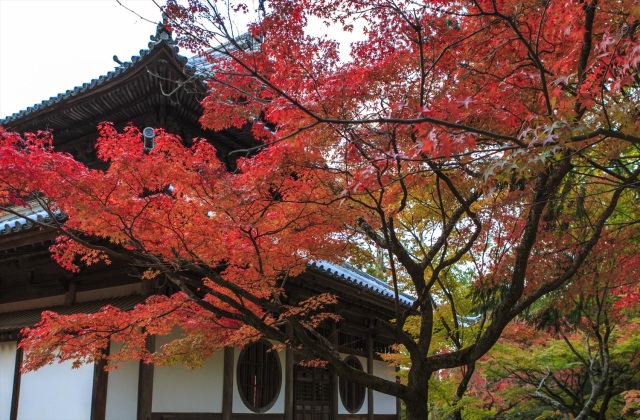 宝福寺