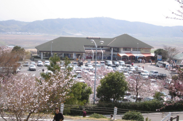 道の駅 一本松展望園