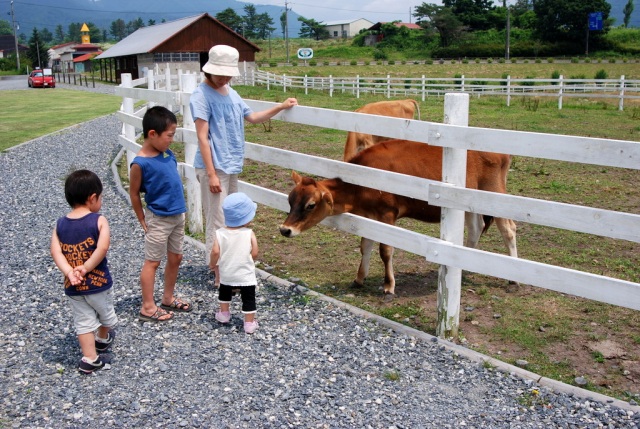 ジャージー牛ふれあい広場