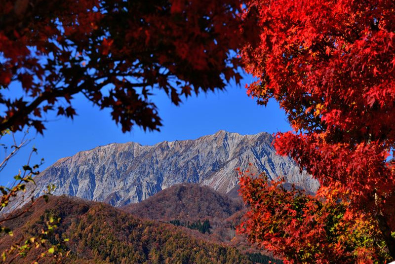 休憩所から見た大山