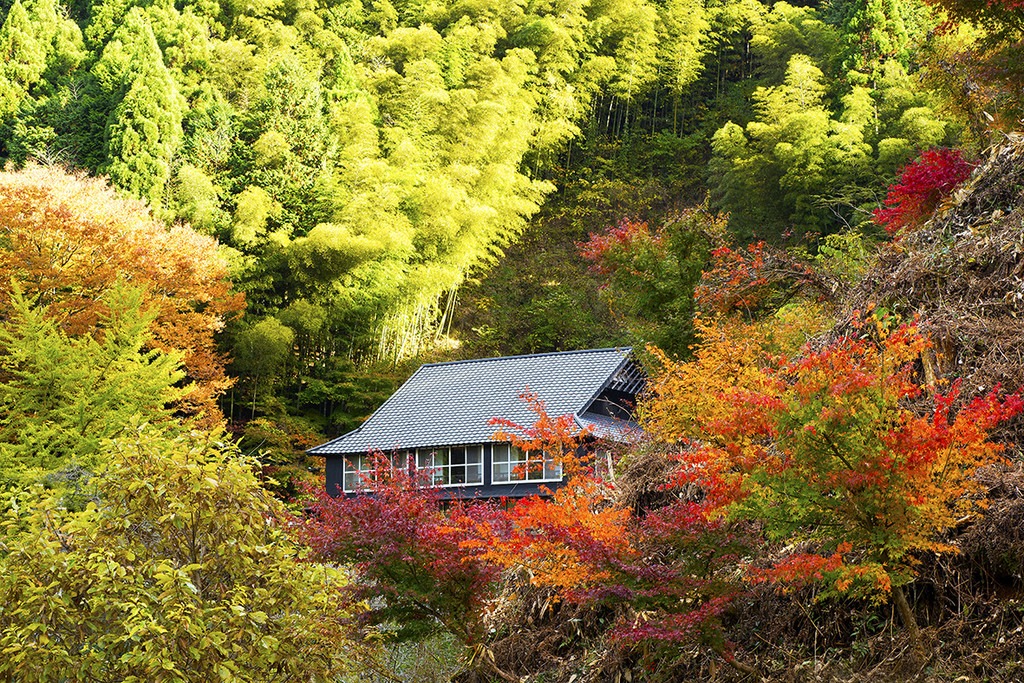 郷緑館
